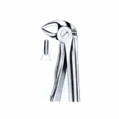 Extarcting Forceps 
